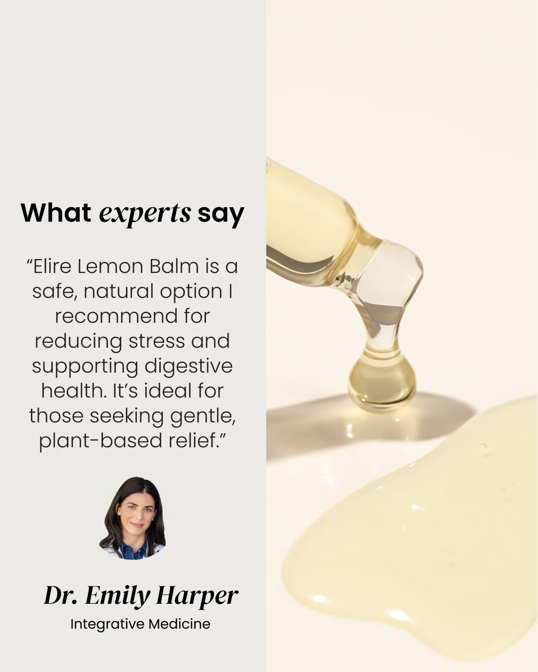 Lemon Balm - Image 7